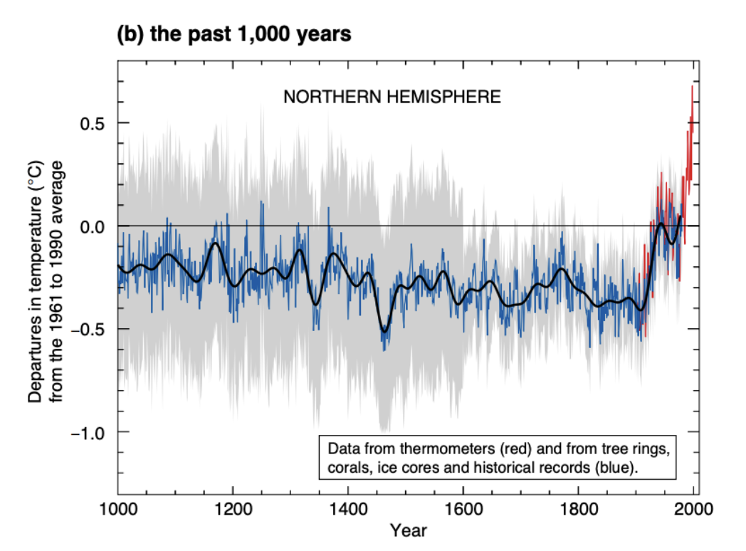 The famous hockey stick graph showing change in average global temperature, with a large. uptick after the industrial revolution.