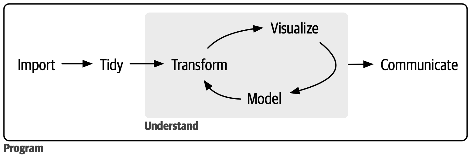 A diagram of the data science cycle. Import leads to Tidy, which leads to a box labeled Understand containing Transform, Visualize, and Model arranged in a repeating cycle. Understand leads to Communicate. A larger box labeled Program surrounds all of the stages.