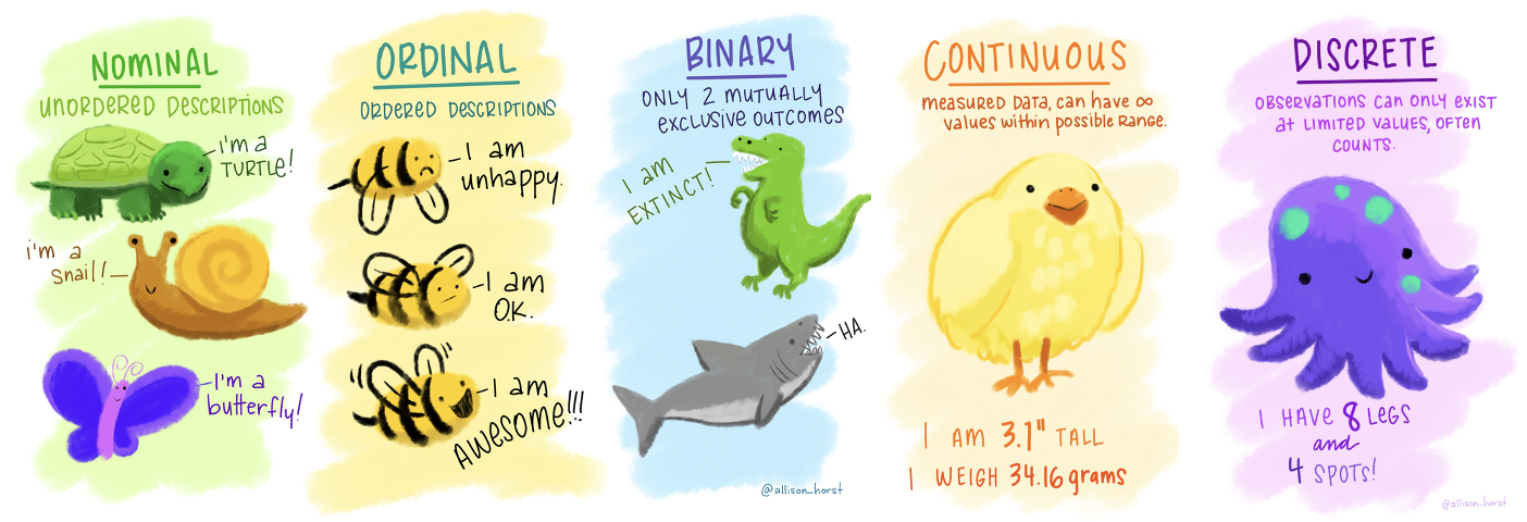 This illustration shows five types of data using cute animal characters. Nominal data are shown with a turtle, snail, and butterfly to represent categories without order. Ordinal data are shown with bees expressing feelings from unhappy to awesome, showing a clear order. Binary data are shown with a dinosaur and a shark to illustrate two possible outcomes. Continuous data are shown with a chick that gives its height and weight, representing measurements that can take any value within a range. Discrete data are shown with a purple octopus that counts its legs and spots, representing data that come in whole number counts.